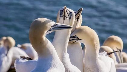 开云体育-飞跃巅峰！FLY力克WBG，Uzi绝境逆转再现传奇