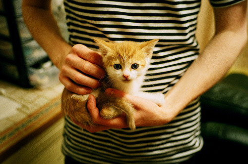 致命三分背后的沉默杀手，霍勒迪如何在季后赛之夜，成为对手最可怕的噩梦